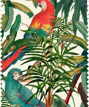 PARROTS OF BRASIL-FB00008