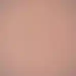 Pale Rose