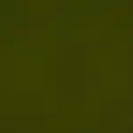 Moss