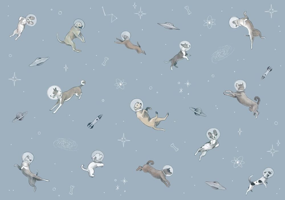 DOGGY GRAVITY Colección "Random Kids" Animales