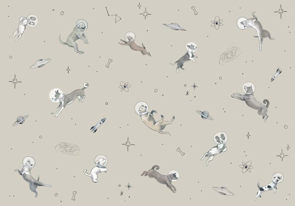 DOGGY GRAVITY Colección "Random Kids" Animales