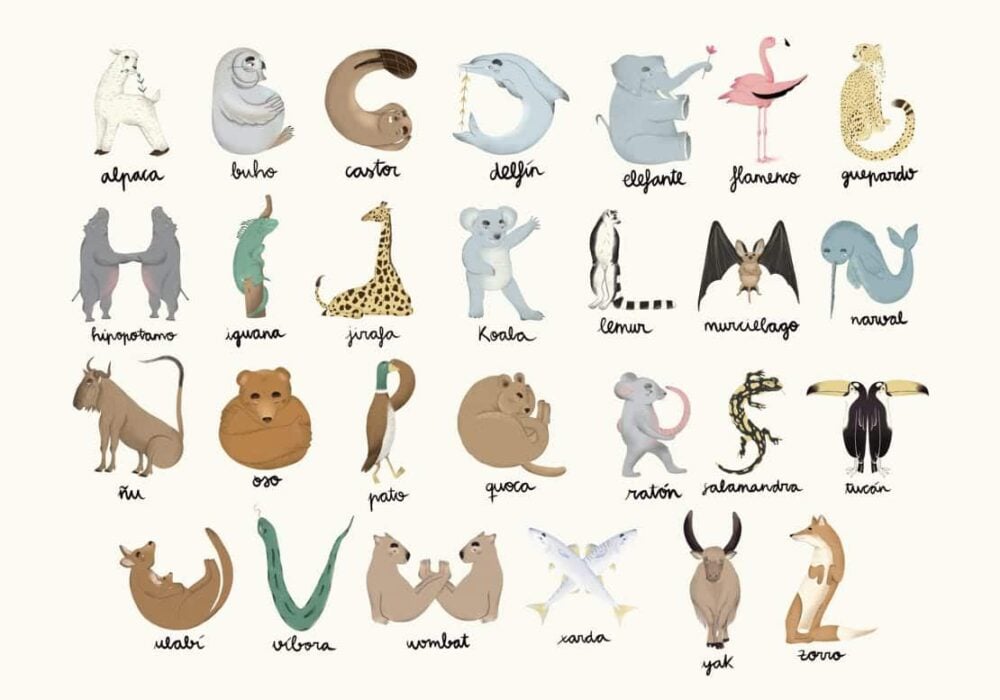 ANIMAL ALPHABET Colección "Random Kids" Animales