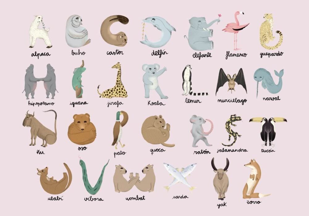 ANIMAL ALPHABET Colección "Random Kids" Animales