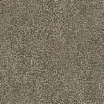 Leopard King | Tropics Colección "Tropics Resource Library" Animal Print