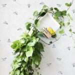 LINDBERGH Papel Pintado Coordonné Decoración Infantil