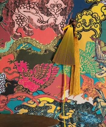 DRAGON AMPARO Colección "Kimono" Estampados Singulares DRAGON AMPARO