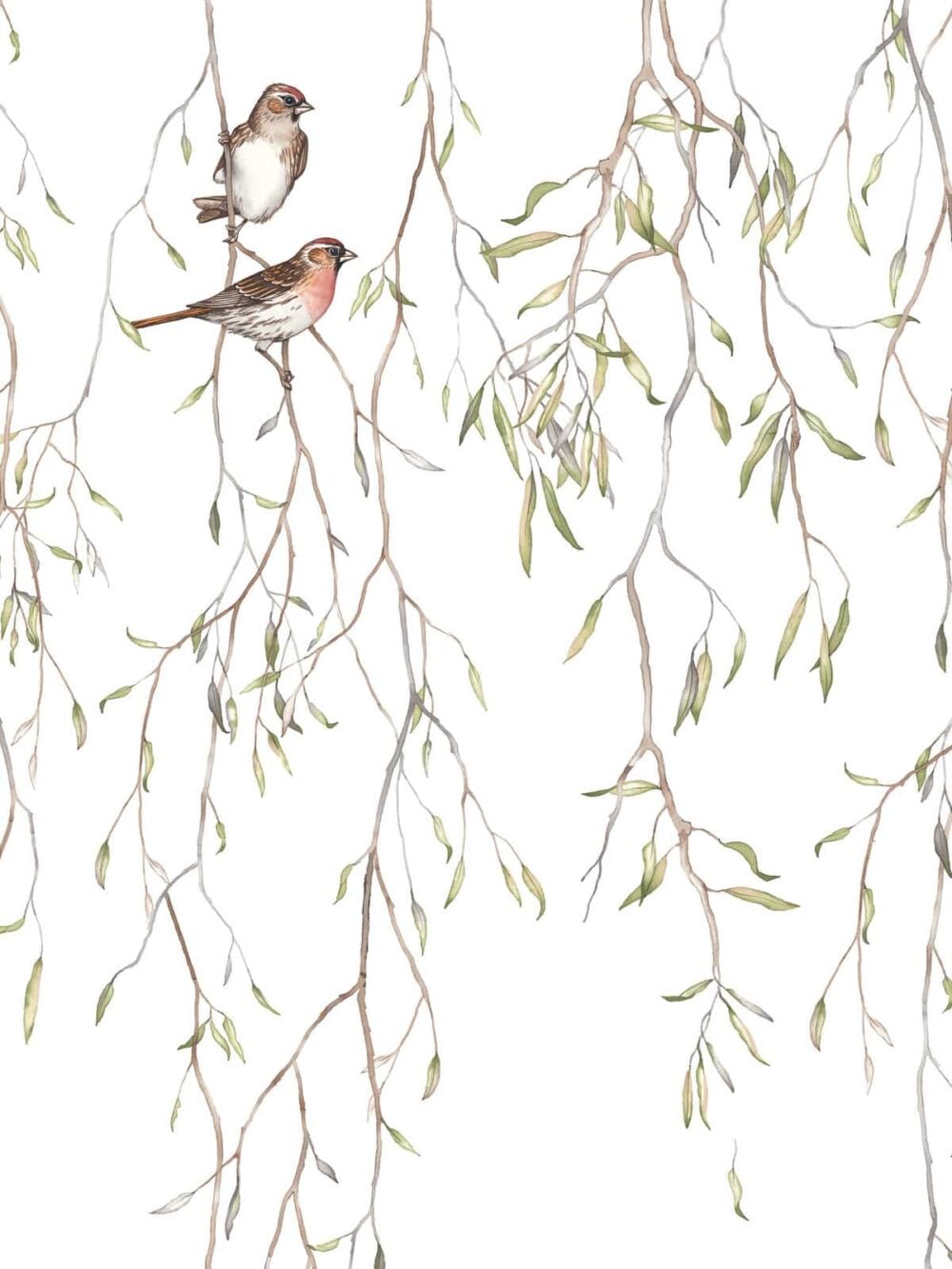 SPRING BIRDS Murales a medida Decoración Infantil