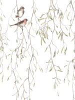 SPRING BIRDS Murales a medida Decoración Infantil