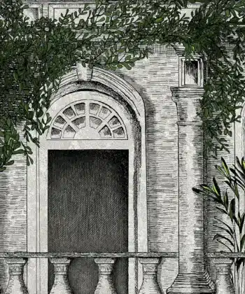 THE ARCHITECTURE Brand McKenzie Estampados Singulares
