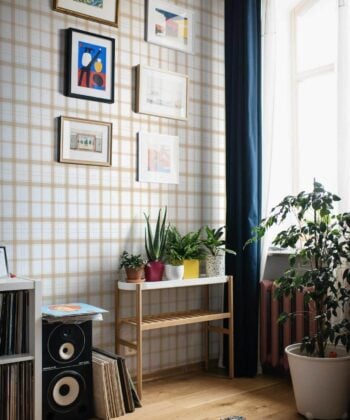 Colección "Stripes & Checks"