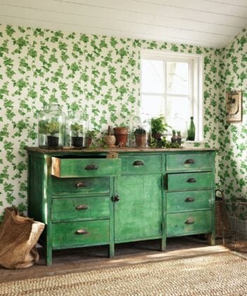 HEDERA