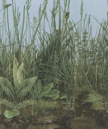 Mural de papel pintado vegetal de la firma Borastapeter
