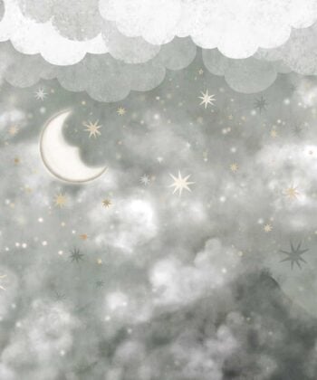 STARS IN THE SKY Murales a medida Estrellas y Planetas