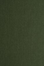 92 Olive