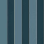 blauwe paon oceaan