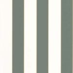 Groene eucalyptus blanc