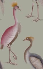 GARZAS Colección "Serendipia" Animales
