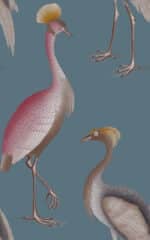 GARZAS Colección "Serendipia" Animales