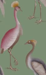 GARZAS Colección "Serendipia" Animales
