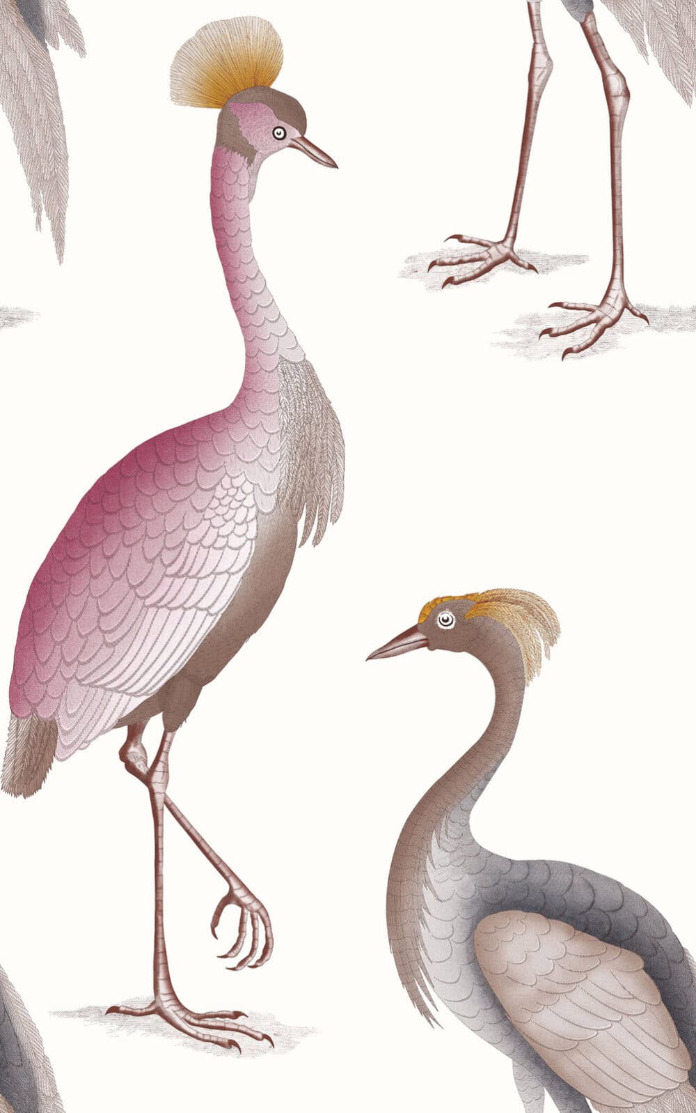 GARZAS Colección "Serendipia" Animales