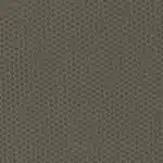 Moleskin