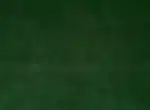 843