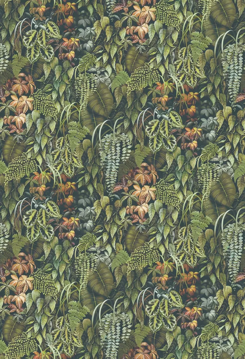 GREEN WALL Papel Pintado de Osborne & Little Estilo Maximalista