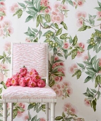 Wallpaper Anna French