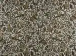CARRERAS Colección "Squella" Estilo Clásico