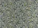 CARRERAS Colección "Squella" Estilo Clásico