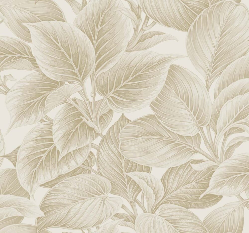 Wasilla Colección "Shades of White" Estilo Clásico