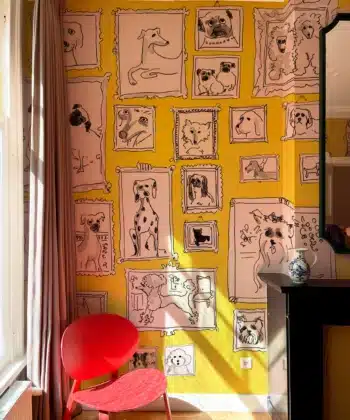 Dogs