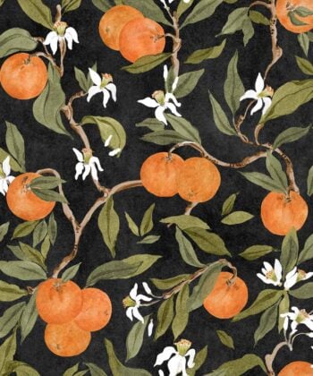 Sinaasappelbomencollectie "Sevilla" in mediterrane stijlSurdic"