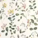 Chèvrefeuille Sauvage Casadeco Estilo Clásico